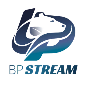 Salesforce-native BillingPlatform integration