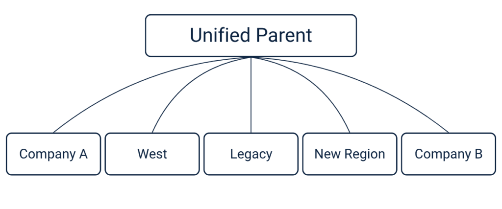 The same five entities reorganized under one unified parent account in a clean, governed hierarchy.